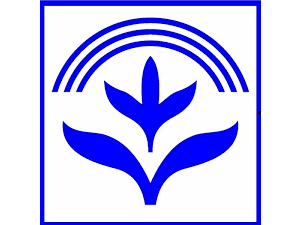 Pioneer Insurance Company Limited